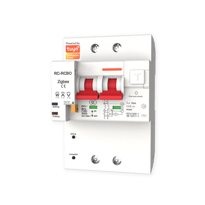 WCB-SC-1P80 Tuya Smart Circuit Breaker 1