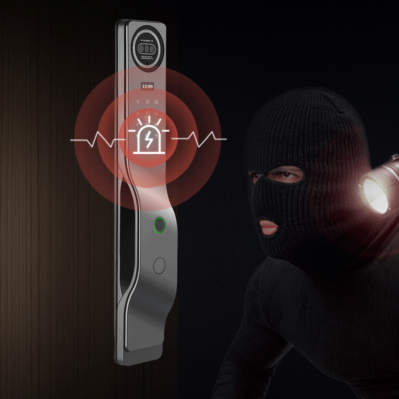d11 Door Lock4