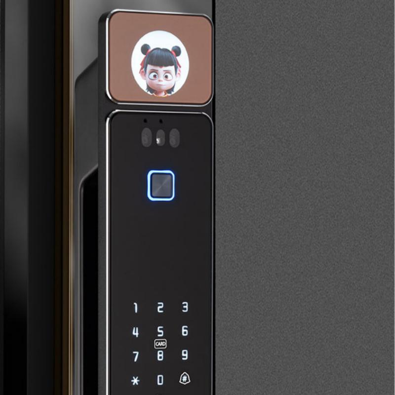 d18 Door Lock1